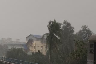WEST BENGAL RAIN FORECAST