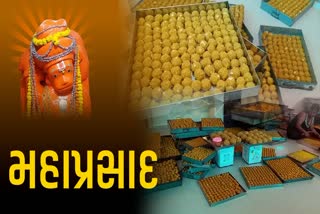 જુનાગઢમાં મારુતિ પ્રાગટ્ય દિવસની વિશેષ ઉજવણી