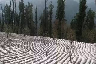 हिमाचल में बारिश और बर्फबारी का दौर शुरू