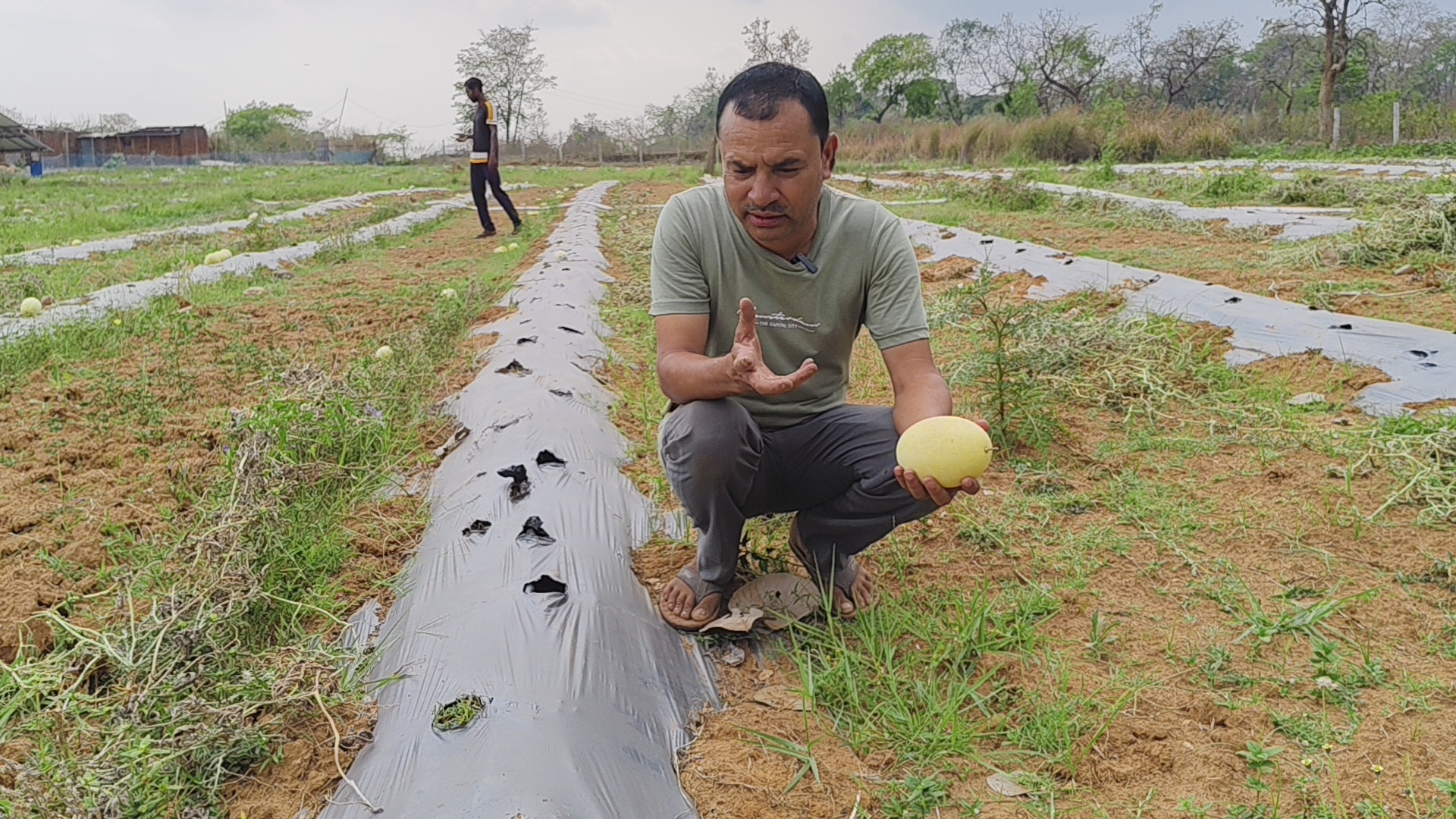 Farmer Manoj Kumar Mahto set example for farmers by cultivating yellow watermelon in Dhanbad