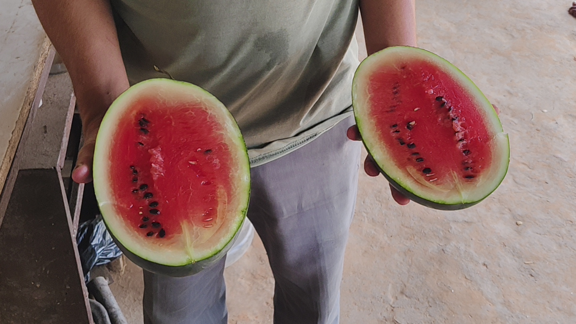 Farmer Manoj Kumar Mahto set example for farmers by cultivating yellow watermelon in Dhanbad