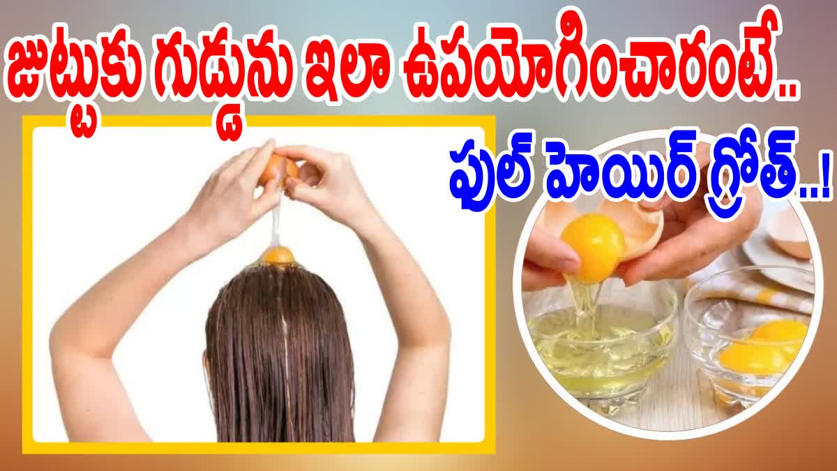 EGG MASKS FOR HAIR GROWTH