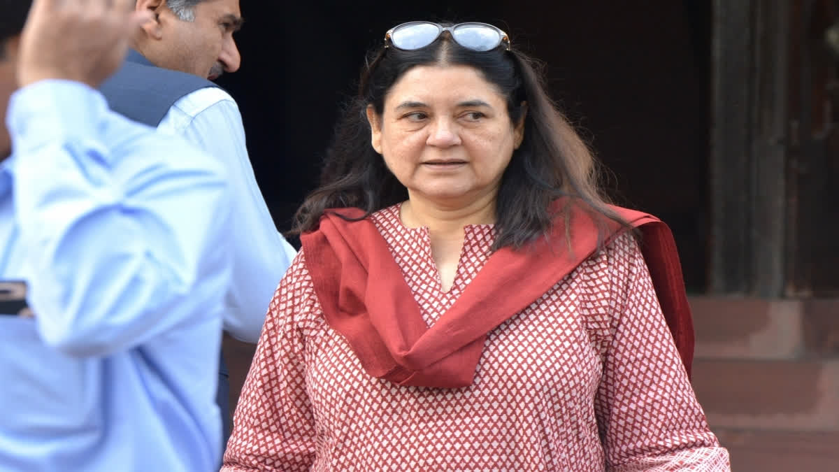 BJP leader Maneka Gandhi on Saturday indicated that her son Varun Gandhi's writings that were sometimes critical of the government may have cost him the party's Lok Sabha ticket from Pilibhit but asserted that he would do very well even without it.