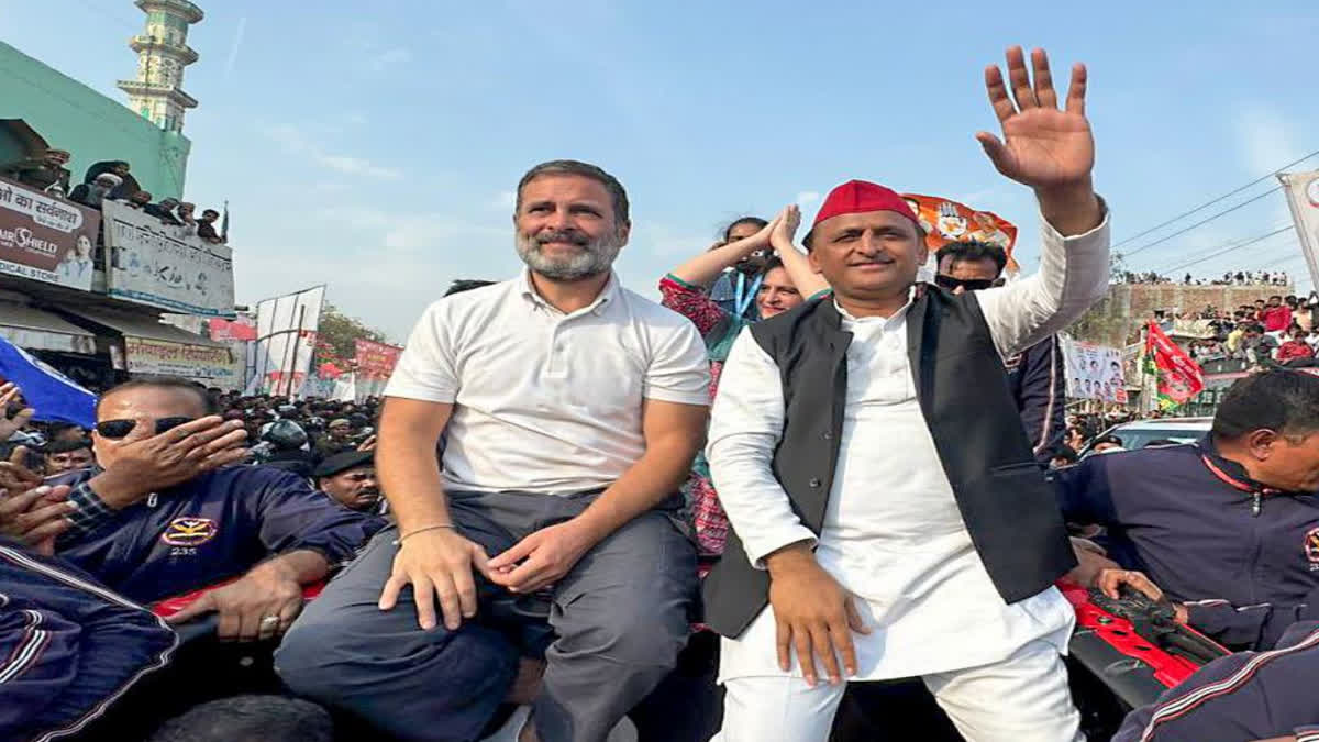 Rahul and Akhilesh will be seen together once again, the duo will roar against the opposition in Rae Bareli, Amethi!
