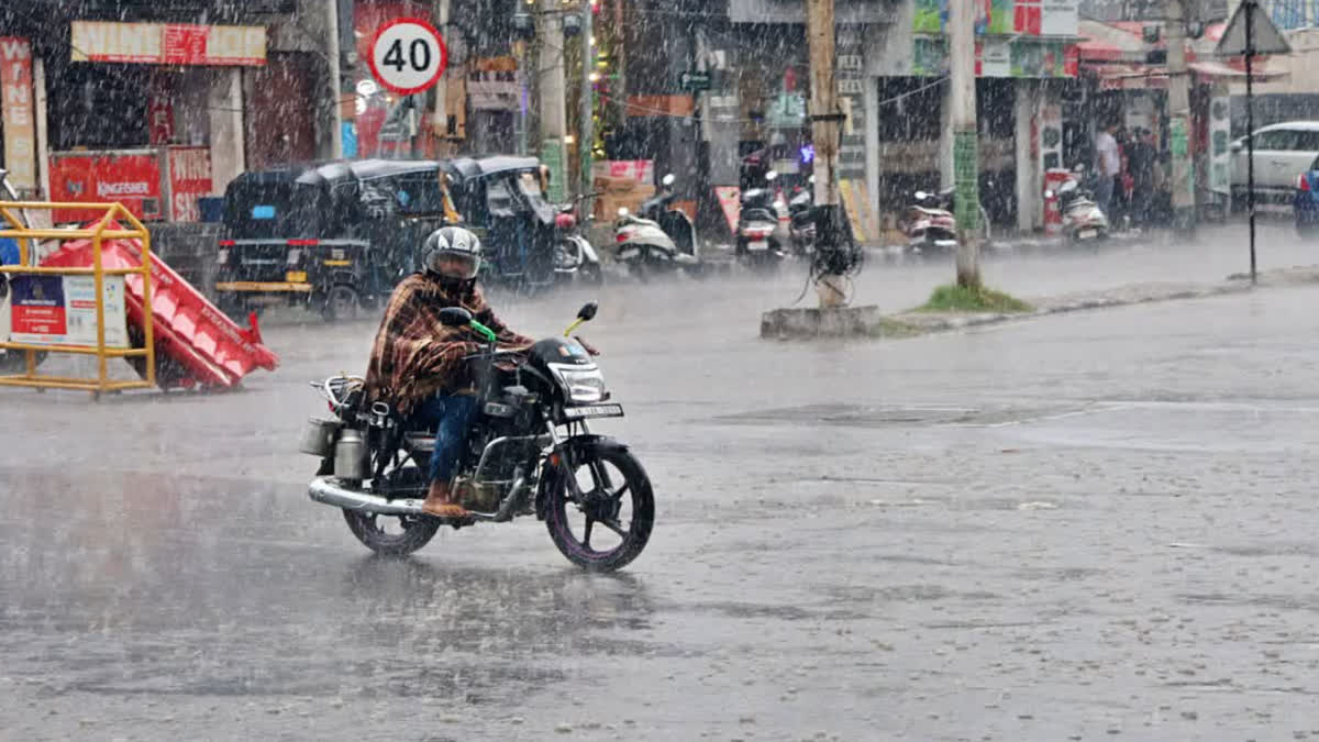 Delhiites got relief from heat, when will it rain in Haryana, Punjab and UP, Meteorological Department gave information