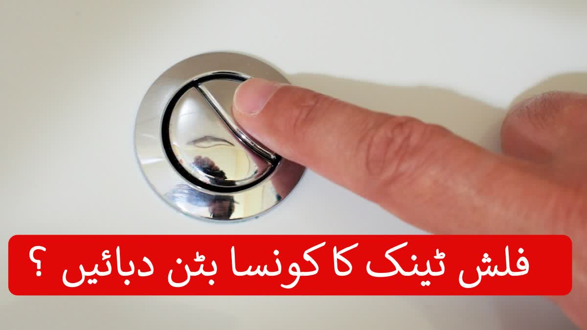 ٹوائلٹ فلش ٹینک پر دو بٹن کیوں ہیں؟