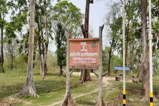 Sonai Rupai Wildlife Sanctuary