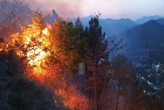 OLD WOMAN DIES IN FOREST FIRE