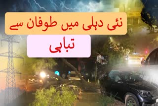 دہلی میں آندھی و طوفا ن سے تباہی