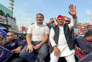 Rahul and Akhilesh will be seen together once again, the duo will roar against the opposition in Rae Bareli, Amethi!