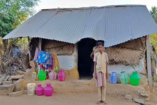 Photo of student Vaishnavi and her house