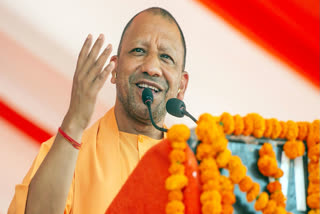 Chief Minister Yogi Adityanath on Saturday claimed that Samajwadi Party Chief Akhilesh Yadav jumped into the poll fray, when the INDIA bloc could not find a candidate for Kannauj.