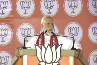 Prime Minister Narendra Modi on Saturday flayed the opposition INDIA bloc for "insulting" President Droupadi Murmu after her visit to Ayodhya's Ram temple, and asserted that the Congress will get fewer seats than the age of its shehzada'.