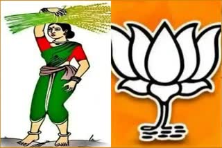 bjp candidates for council election