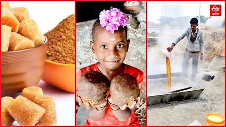 Jaggery health benefits and know the jaggery types