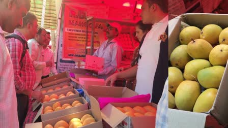 Mango Mela in Belgaum