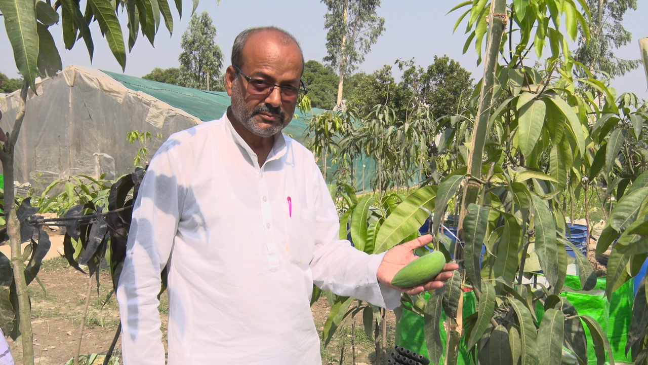 नर्सरी संचालक जुबैर.