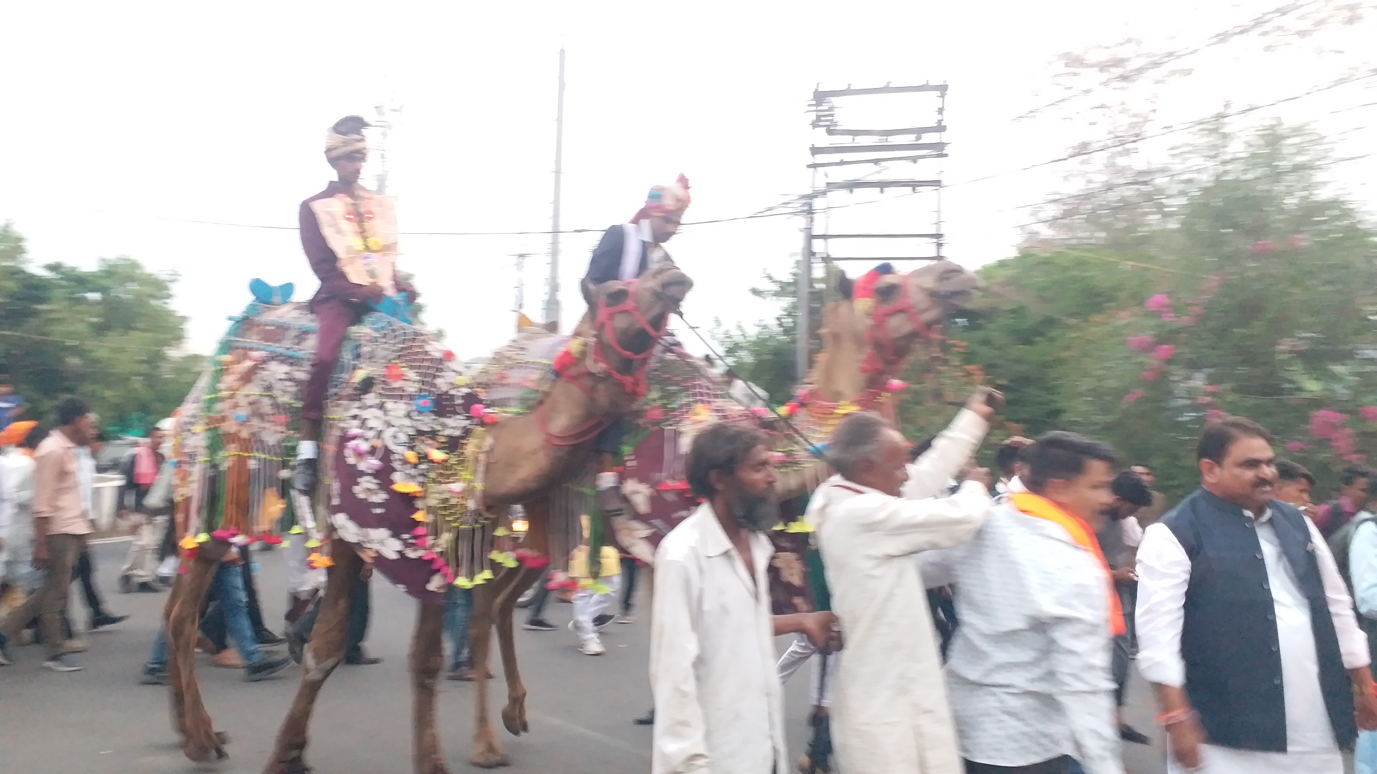 Groom on Camel Unique Baraat