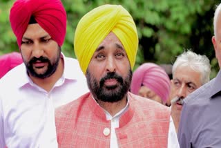 punjab water