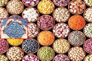 How to Identify Fake Seeds