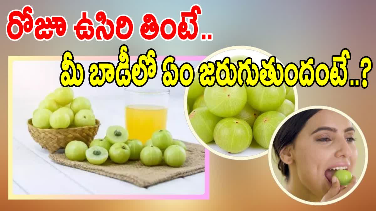 Amla Health Benefits