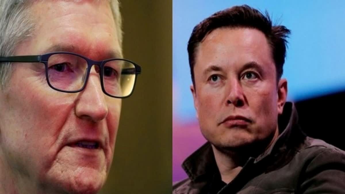 Apple CEO Tim Cook and Tesla CEO Elon Musk