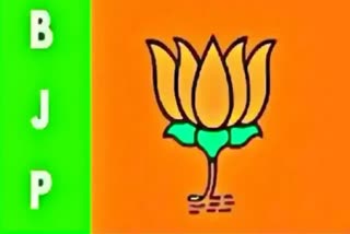 BJP To Focus Change Position of Leaders