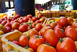 Himachal Tomato Price Recession