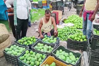 Malda Mango Market