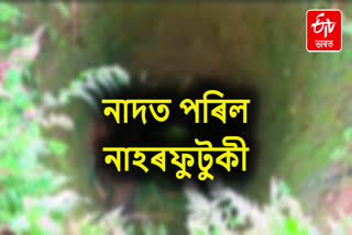 LEOPARD TERROR IN Dibrugarh