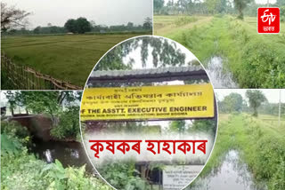 Irrigation Department