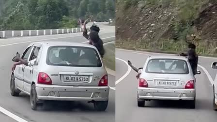 DRIVING DANGEROUSLY  DRIVERS LICENSE WAS REVOKED  DRIVING DANGEROUSLY ON THE ROAD  റോഡിൽ സാഹസിക യാത്ര