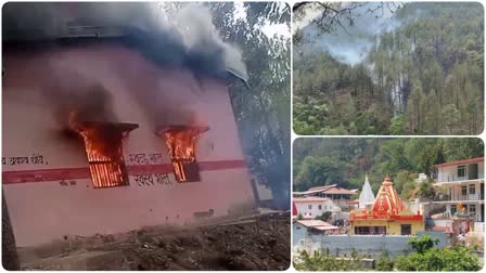 Forest Fire in Nainital