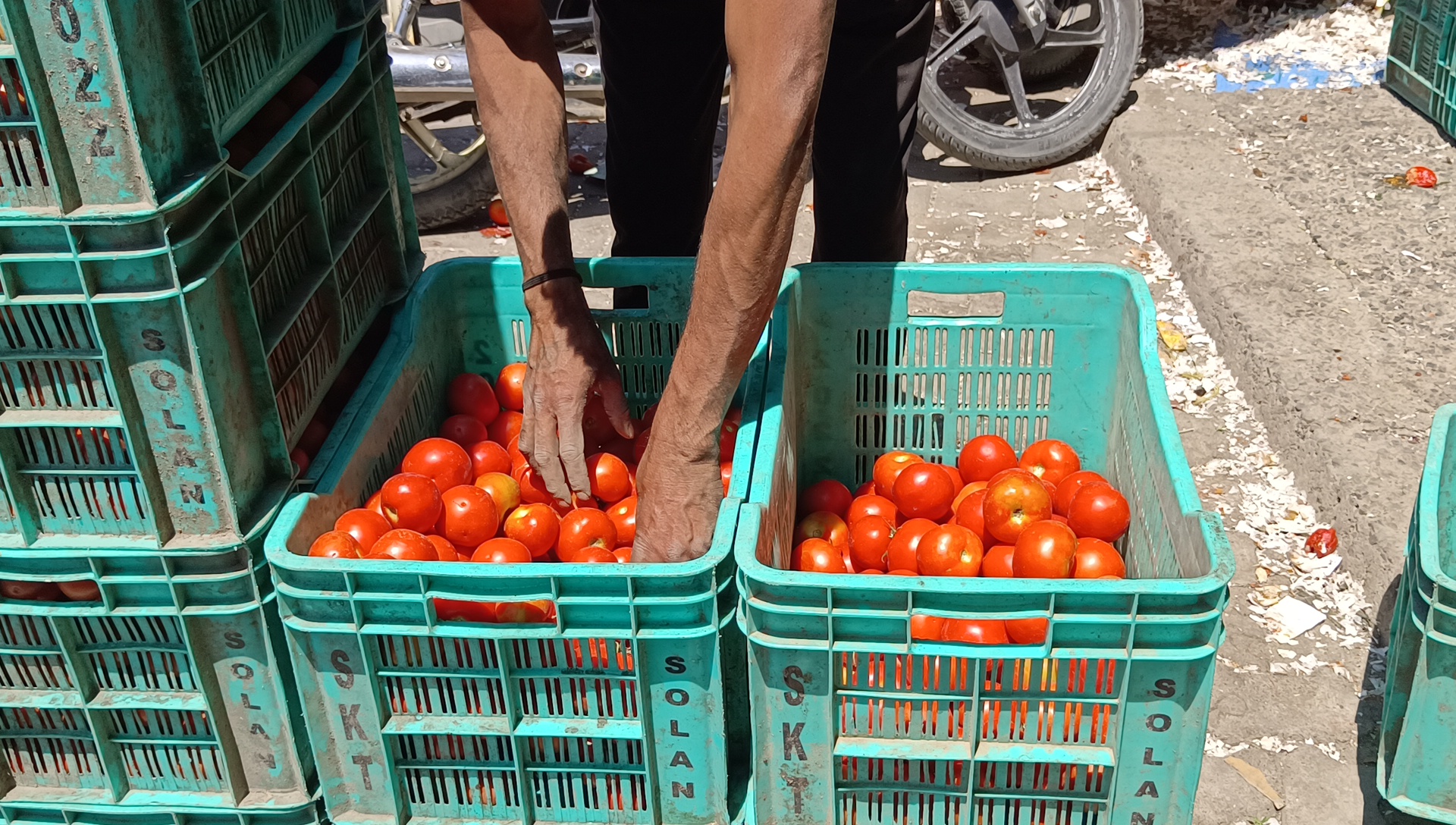 Himachal Tomato Price Recession