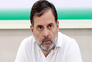 Rahul Writes To PM, Flags Delay In Scholarships For Students From Marginalised Communities