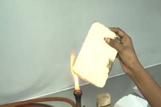 மைசிலியம் பேக்கேஜிங் தெர்மாக்கோல்