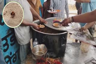 अलीगढ़ में बिरयानी में कॉकरोच