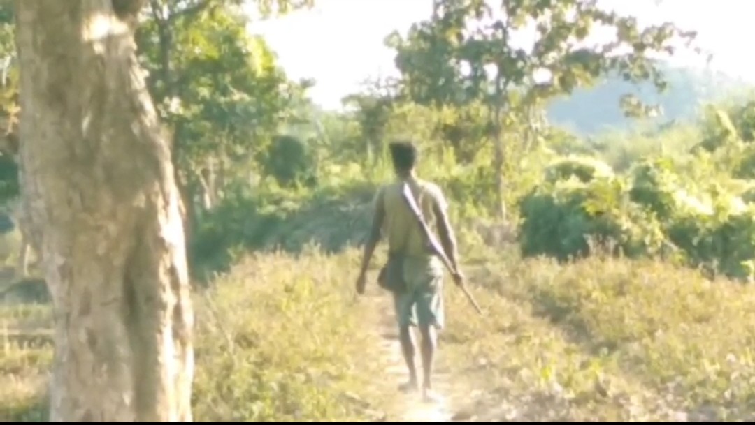 Naga people have established a settlement in Disoivally
