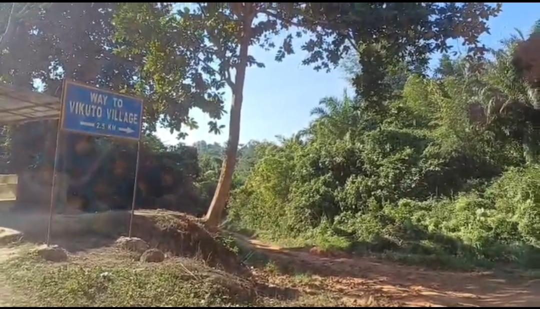 Naga people have established a settlement in Disoivally