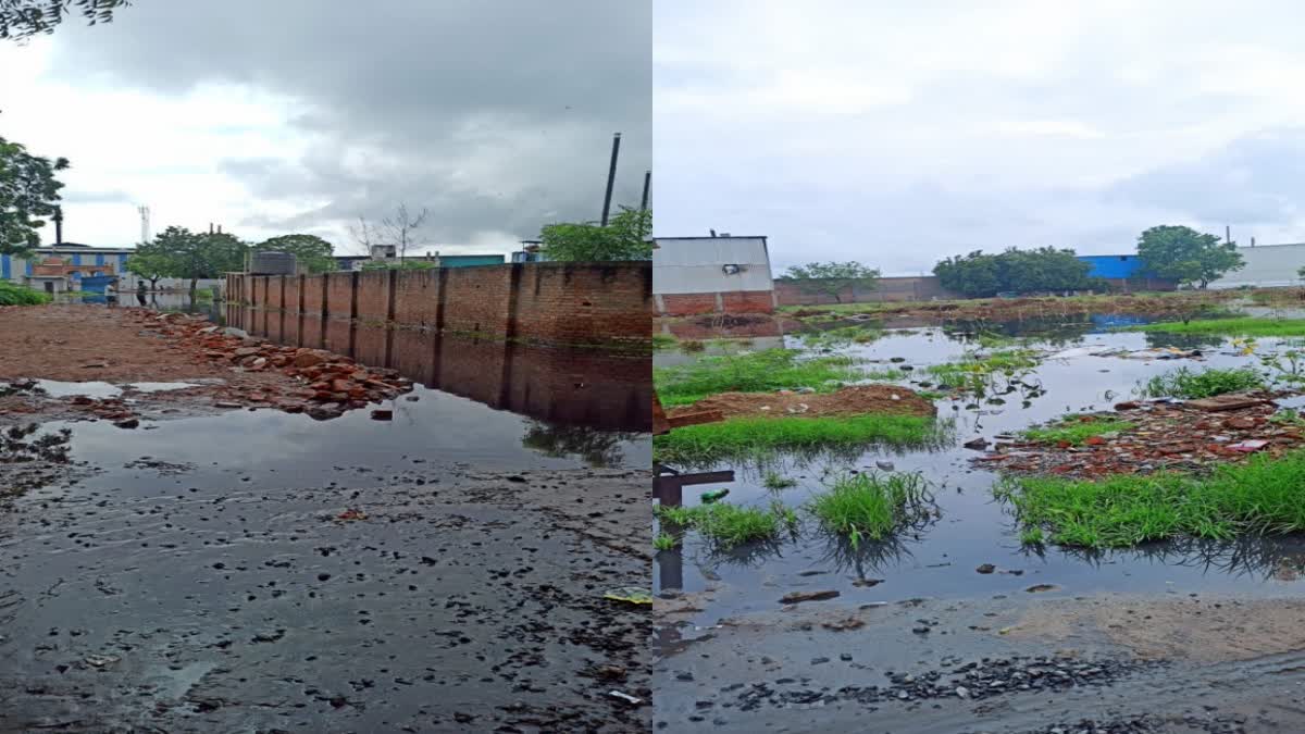 Ahmedabad News : બે વિસ્તારમાં કેમિકલવાળું પાણી રસ્તા પર ફરી વળતાં રોગચાળાનો ભય, વિપક્ષ નેતા ભડક્યાં