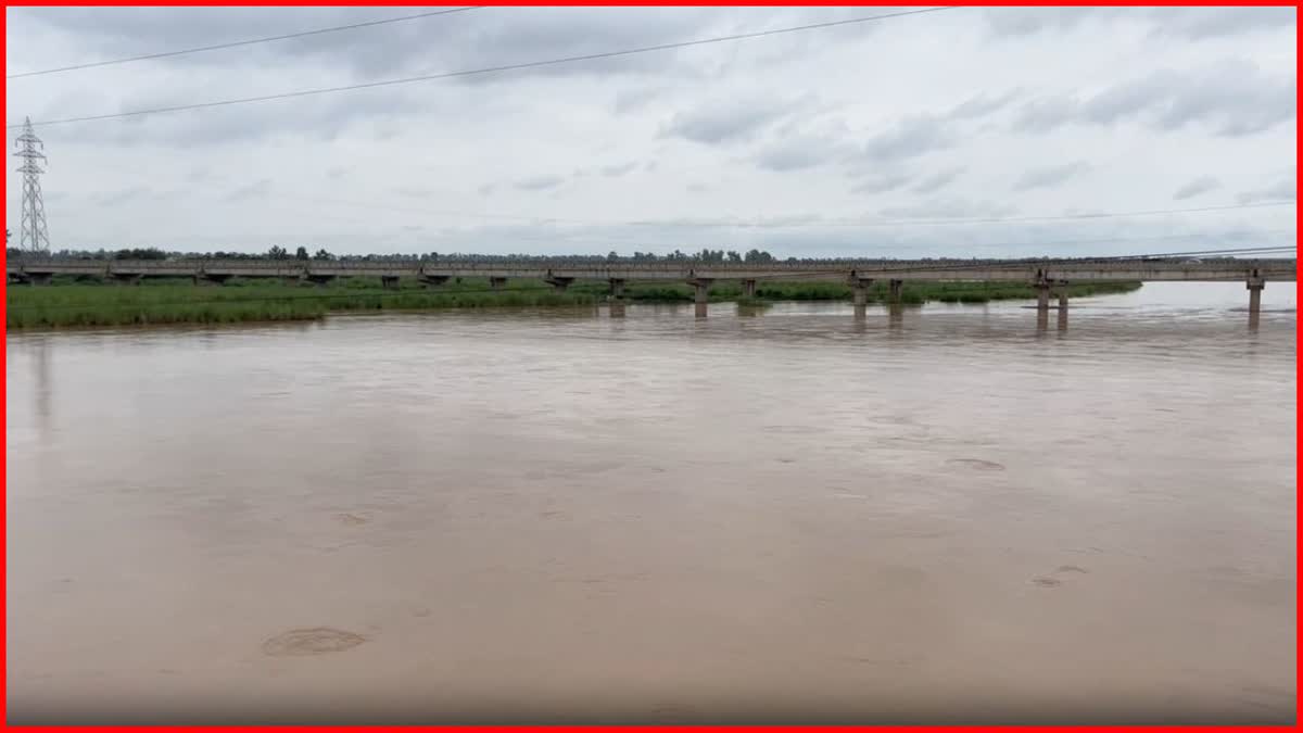 PUNJAB FLOOD