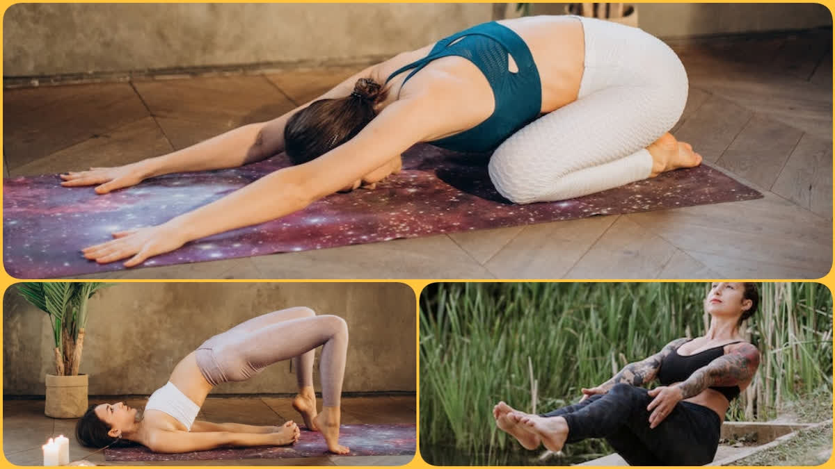 4 Best Yoga Asanas for Back Pain - Charak