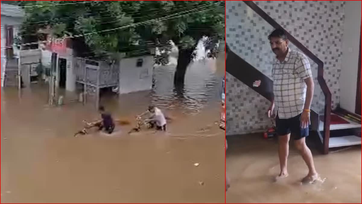 rain in haryana