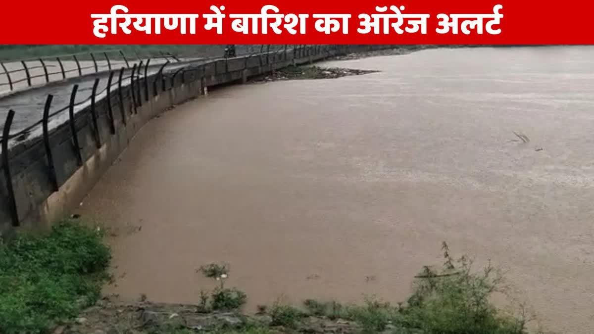 rain in haryana