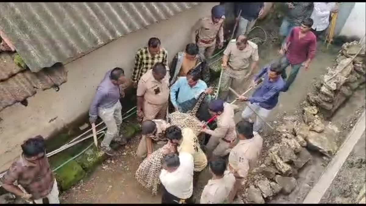 Leopard Attack : ગીર પંથકમાં દીપડાની જોડીએ ત્રણ લોકો પર કર્યો હુમલો, અવારનવાર પ્રાણીની અવરજવરથી ગામ થરથર કાપતું