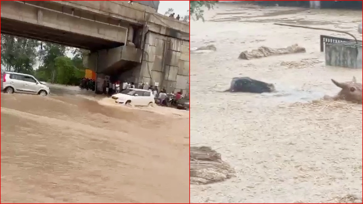 Heavy Rain in Haryana