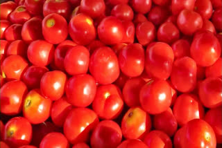 Tomato Stolen In Karnataka