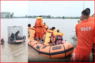 PUNJAB FLOOD