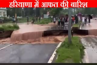 rain in haryana