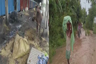 Flood affected people appealed for help, SGPC started langar service for affected people